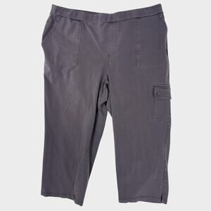 Susan Graver Weekend Gray Pants Womens 1X Capri Pull On Pants